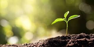 écologie et environnement