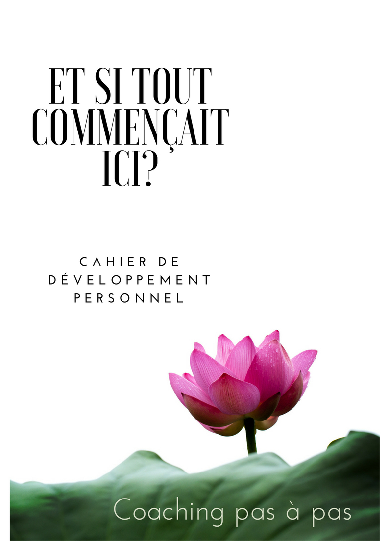 développement personnel pdf gratuit
