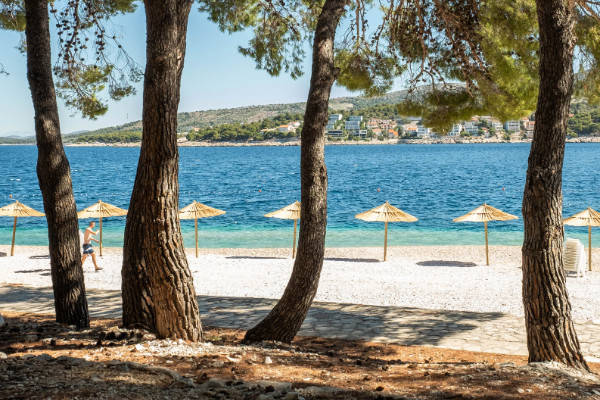 jumbo tourisme voyage d un jour