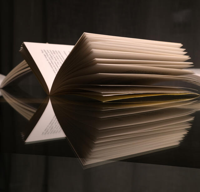 litterature étrangère