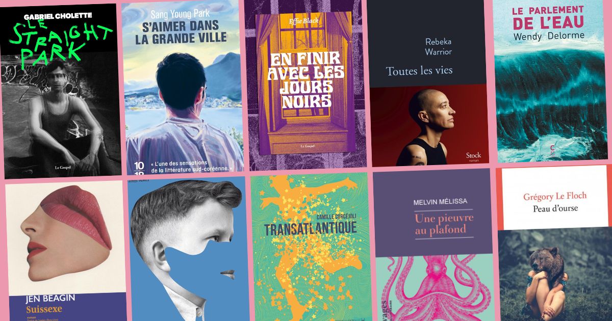litterature homosexuelle