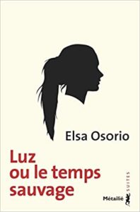 littérature sud américaine